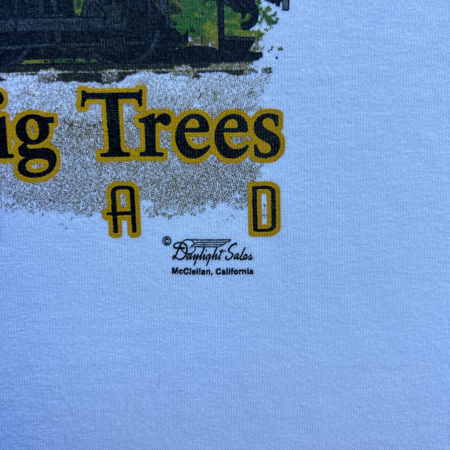 Vintage 2000s Roaring Camp & Big Trees Railroad T-shirt
