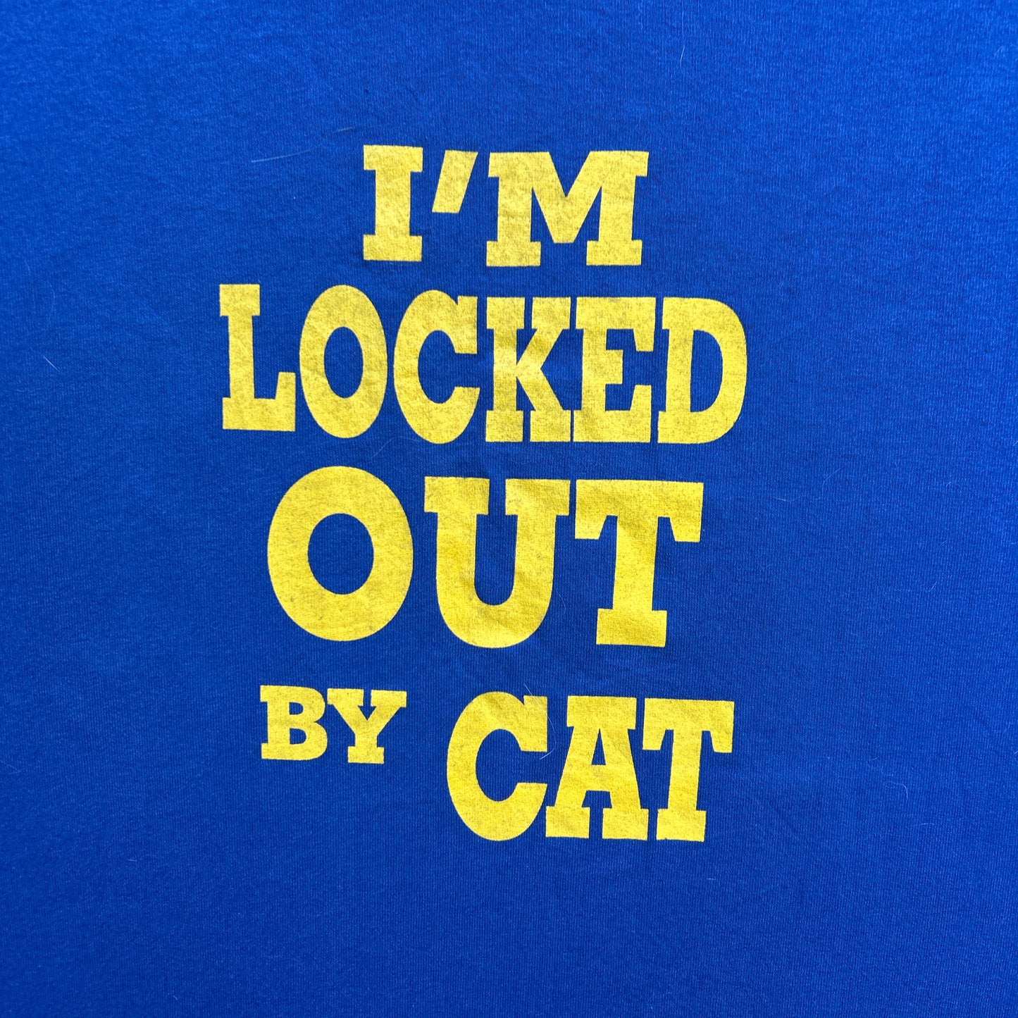 Vintage 80s I'm Locked Out By My Cat, Cat Montgomery VS. UAW Local 145 Region 4 T-shirt