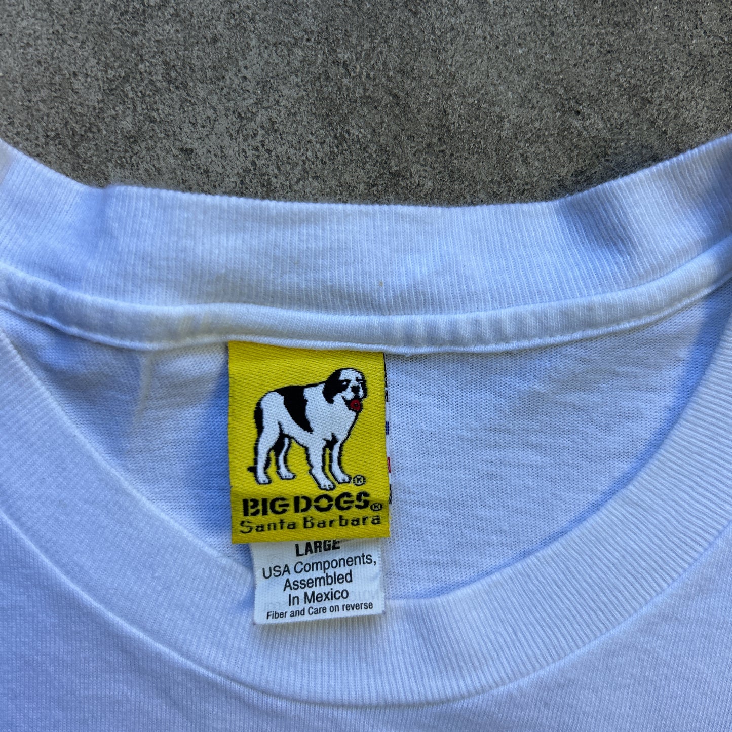Vintage 90s Big Dogs Sportswear "lead follow or get out the way" 1998 T-shirt