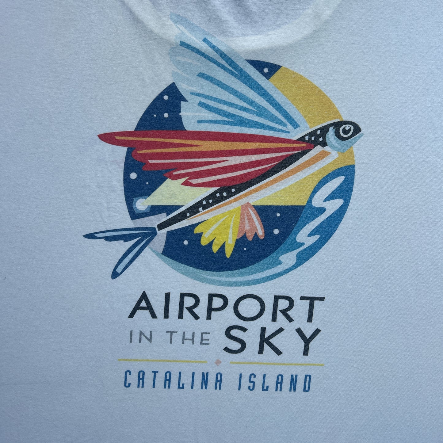 Vintage 90s Flying Fish, Airport In The Sky, Catalina Island Airport T-shirt