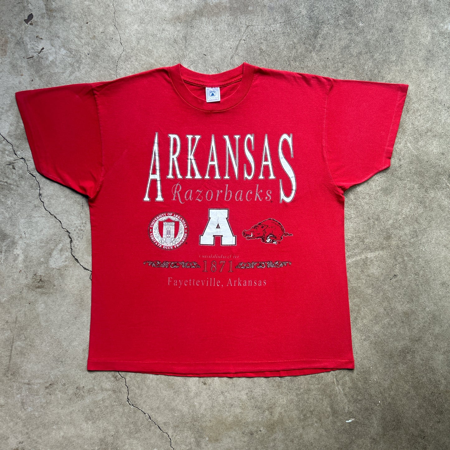Vintage 90s University of Arkansas, Razorbacks, Fayetteville T-shirt