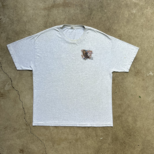 Vintage 90s American Highway, Oatman Arizona T-shirt