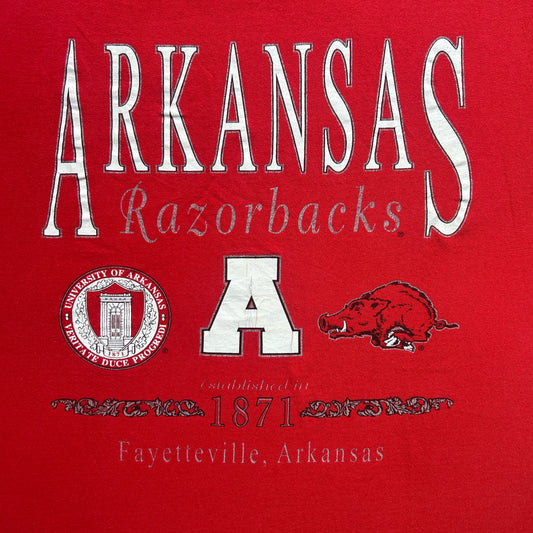 Vintage 90s University of Arkansas, Razorbacks, Fayetteville T-shirt