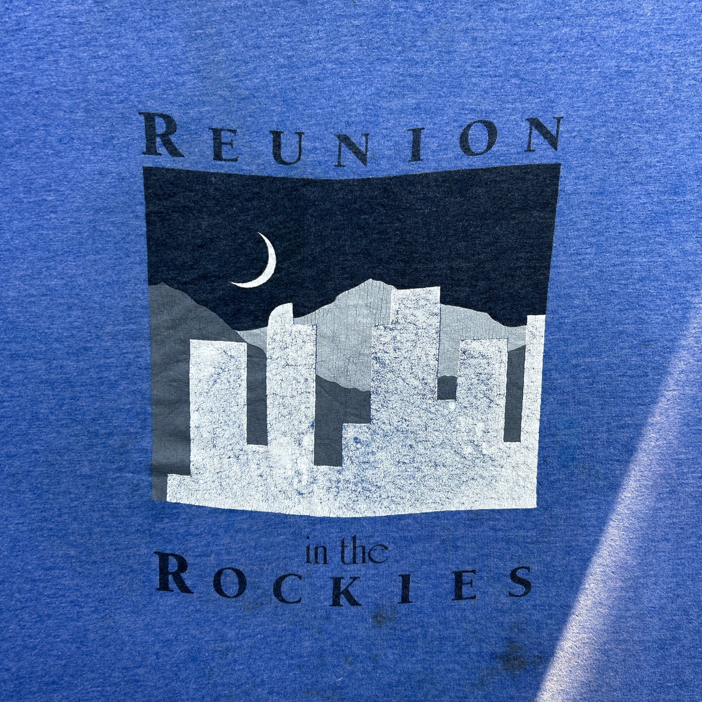 Vintage 80s Reunion In the Rockies, Crater Family Reunion, Denver T-shirt