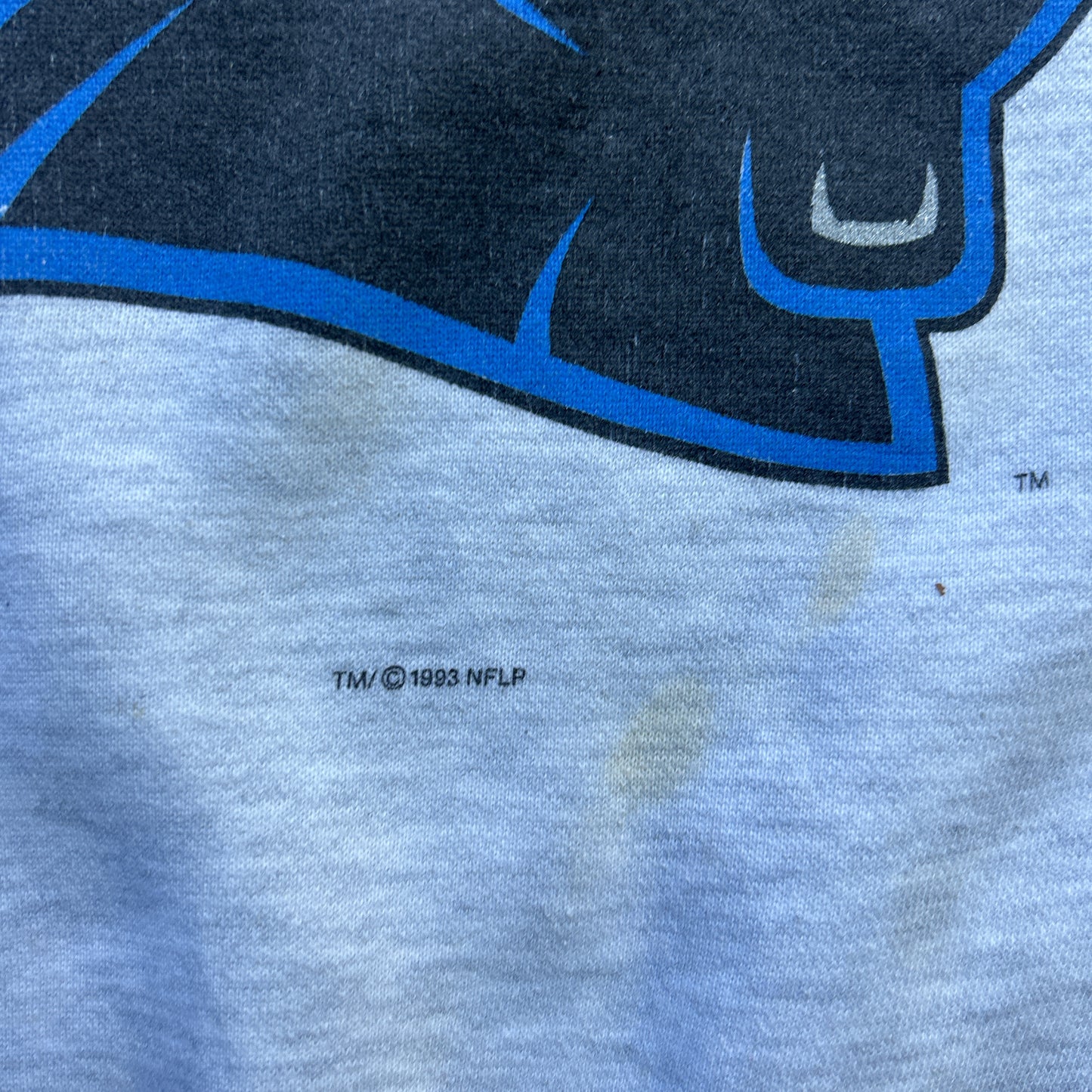 Vintage 90s NFL Carolina Panthers X Starter 1993 Sweatshirts