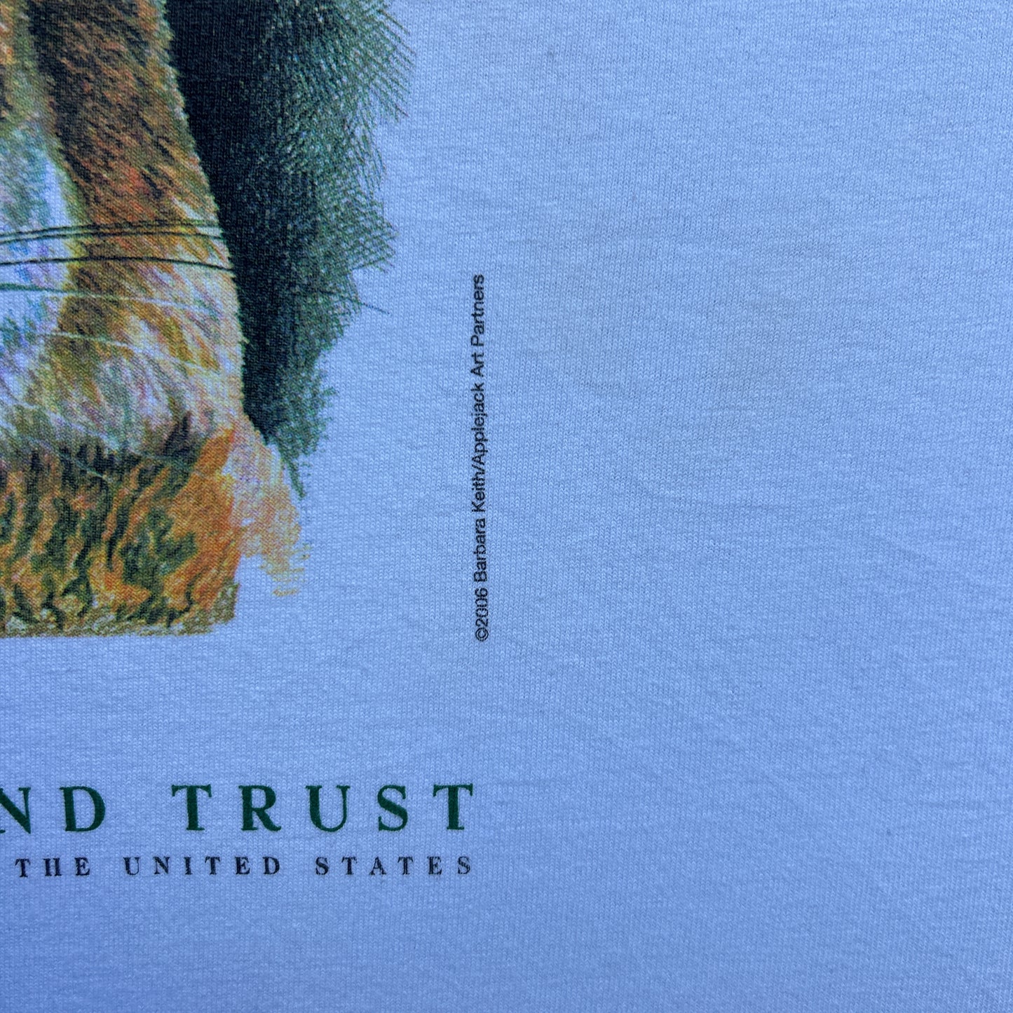 Vintage 2000s Big Cat Wildlife Land Trust 2006 T-shirt