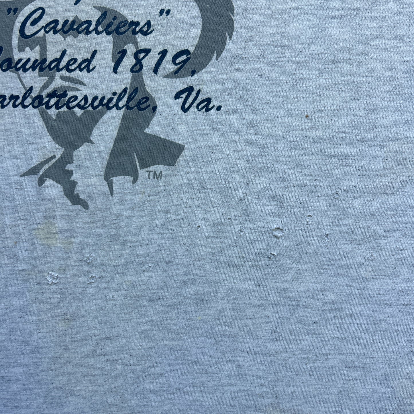 Vintage 90s  Virginia University, Tradition Excellence 1993 T-shirt