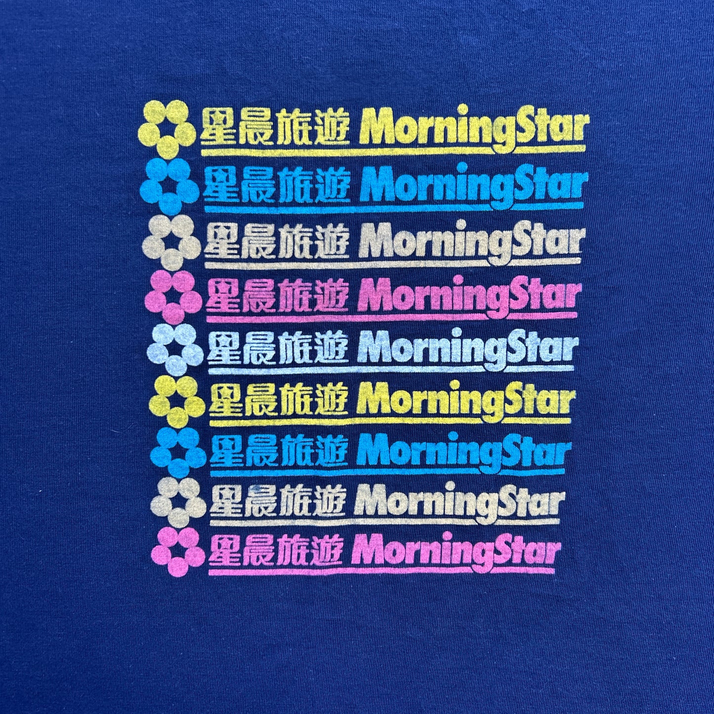 Vintage 90s Morning Star, Chinese Flower Tv T-shirt